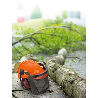 LUX Forstschutzhelm 3 LUX Forstschutzhelm – Bild 3